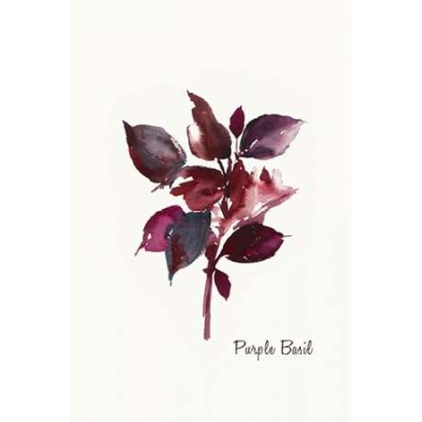 Purple Basil - Mini Poster Print by Asia Jensen-VARPDXJSM08M Image 1