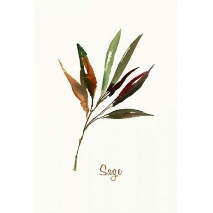 Wild Sage - Mini Poster Print by Asia Jensen-VARPDXJSM09M Image 2