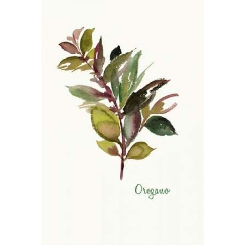 Oregano - Mini Poster Print by Asia Jensen-VARPDXJSM10M Image 1