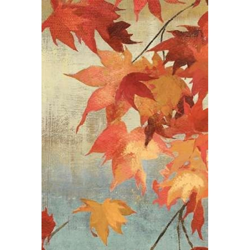 Maple Leaves II - mini Poster Print by Asia Jensen-VARPDXJSN42M Image 1