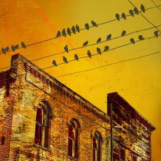 Birds on a Wire I Poster Print by James McMasters-VARPDXJT001A Image 2