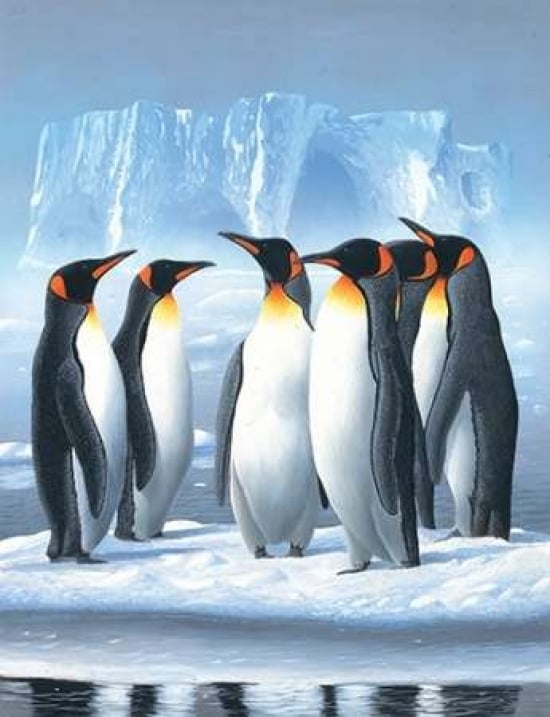 Pinguins Poster Print by Jan Weenink-VARPDXJW2005010 Image 1