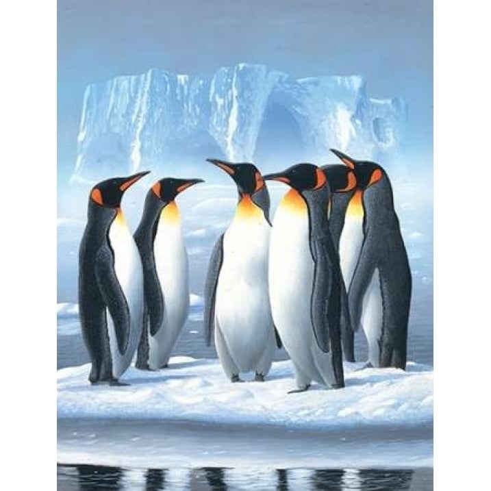 Pinguins Poster Print by Jan Weenink-VARPDXJW2005010 Image 2