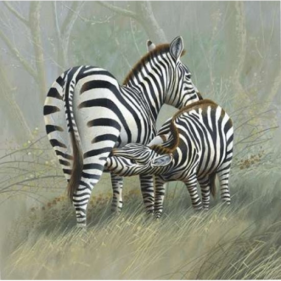 Two zebras Poster Print by Jan Weenink-VARPDXJW2005033 Image 1