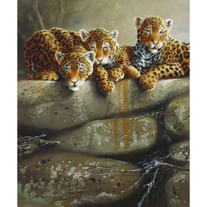 Three little tigers Poster Print by Jan Weenink-VARPDXJW2005034 Image 1