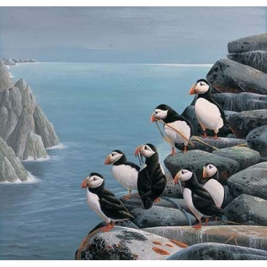 Pinguins Poster Print by Jan Weenink-VARPDXJW2005036 Image 2