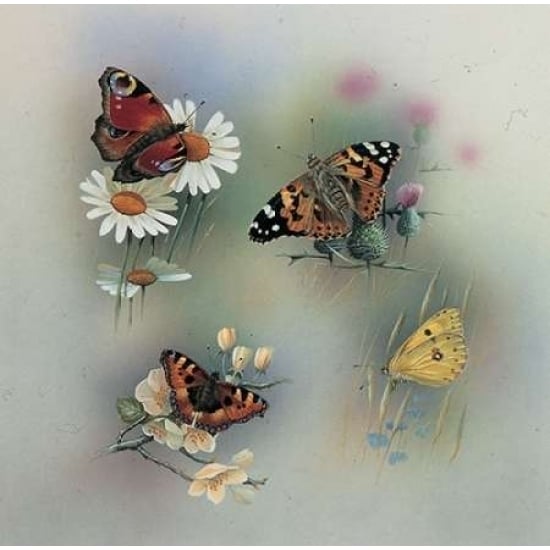 Butterfly composition Poster Print by Jan Weenink-VARPDXJW2005040 Image 1