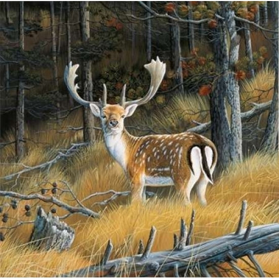 Beautiful deer Poster Print by Jan Weenink-VARPDXJW2005037 Image 1