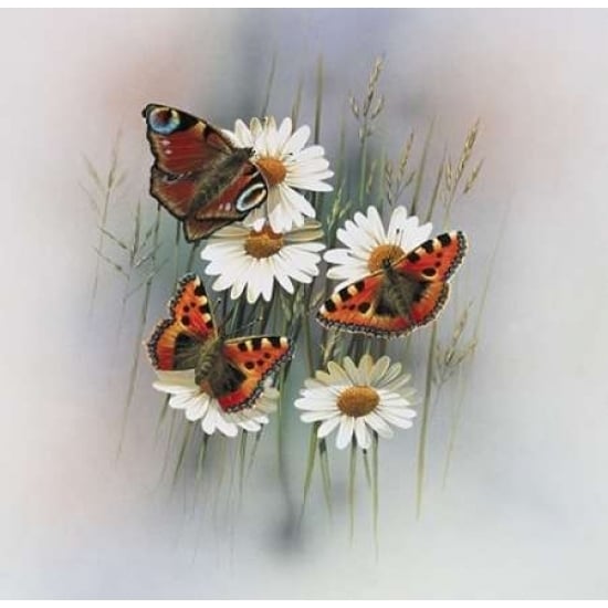 Butterflies Poster Print by Jan Weenink-VARPDXJW2005041 Image 2