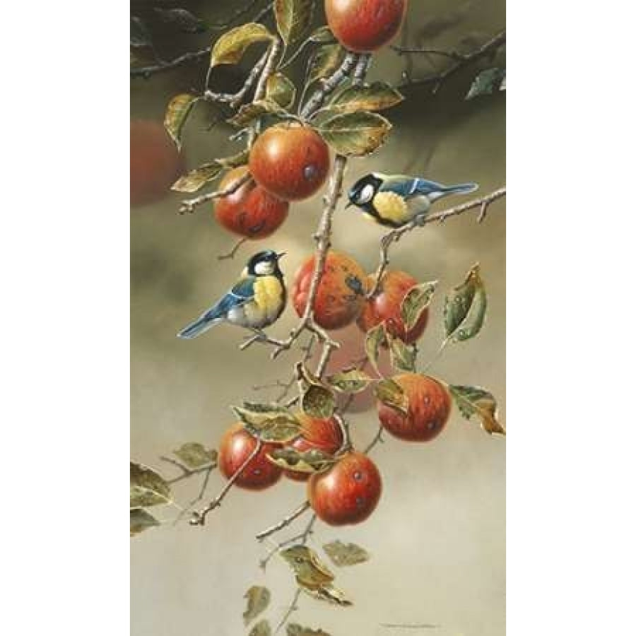 Two birds in appletree Poster Print by Jan Weenink-VARPDXJW2005045 Image 1