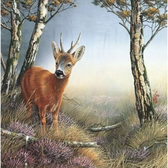 Deer in forest Poster Print by Jan Weenink-VARPDXJW2005108 Image 1