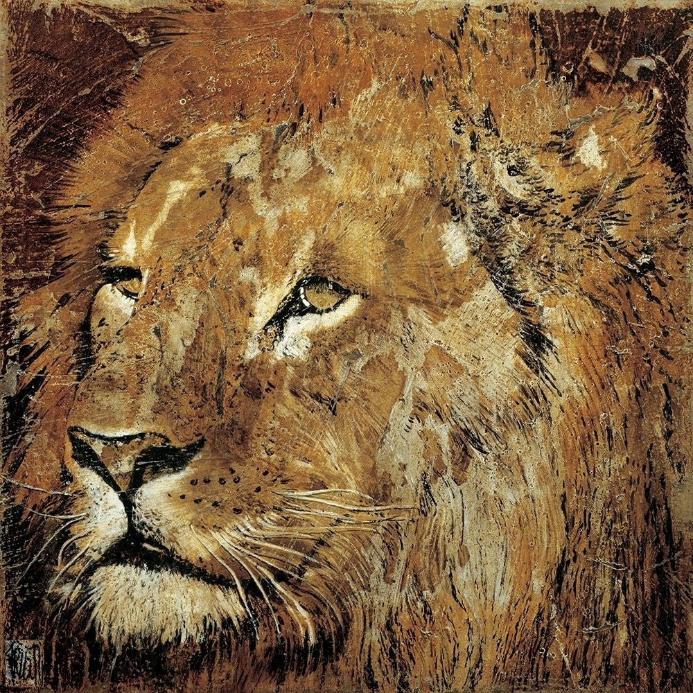 Portrait de lion Poster Print by Fabienne Arietti-VARPDXK050 Image 1