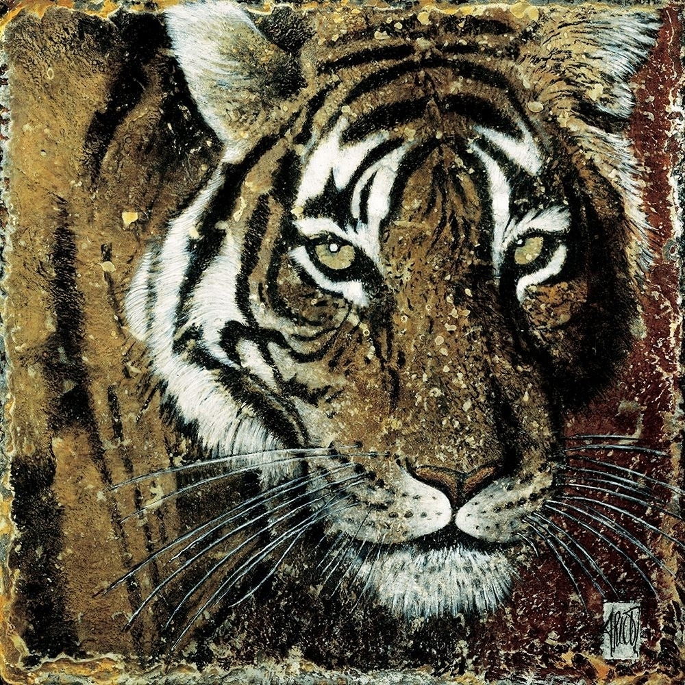 Portrait de tigre Poster Print by Fabienne Arietti-VARPDXK049 Image 1