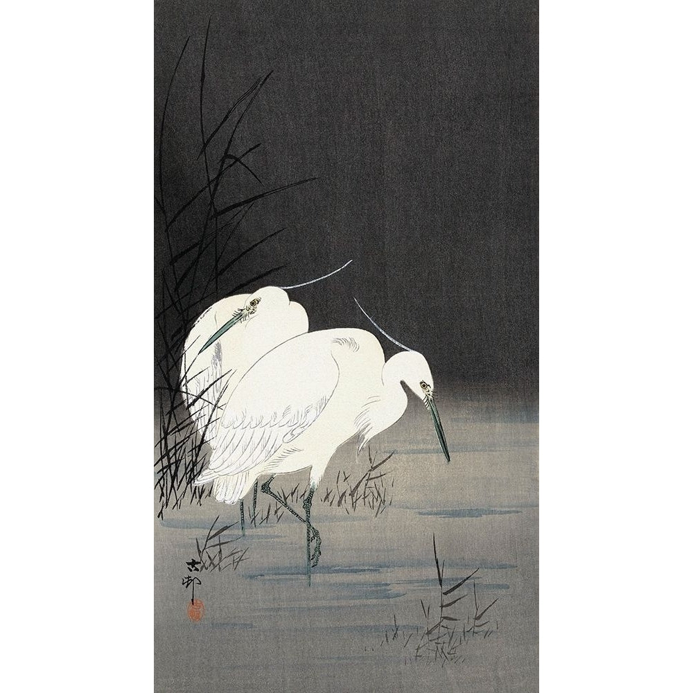 Two Egrets in the Reeds 1900-1930 Poster Print by Ohara Koson-VARPDXK2724D Image 1