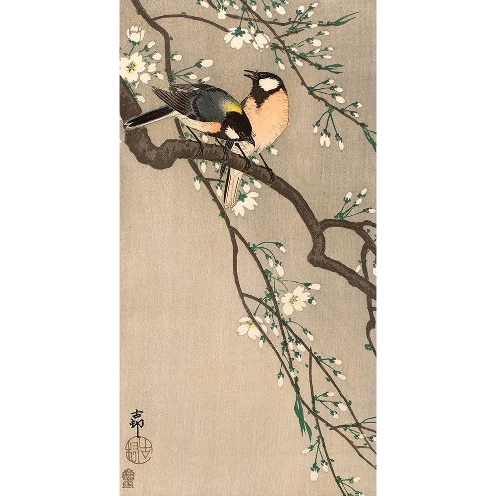 Songbirds on Cherry Branch 1900-1910 Poster Print by Ohara Koson-VARPDXK2725D Image 1