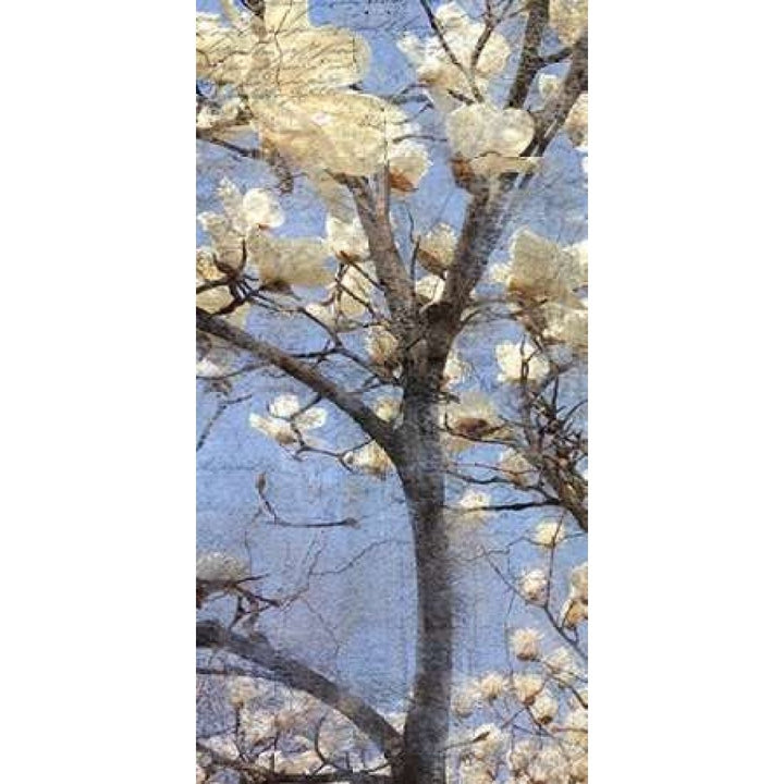 Magnolia Panel 1 Poster Print by Kimberly Allen-VARPDXKAPL013A Image 1