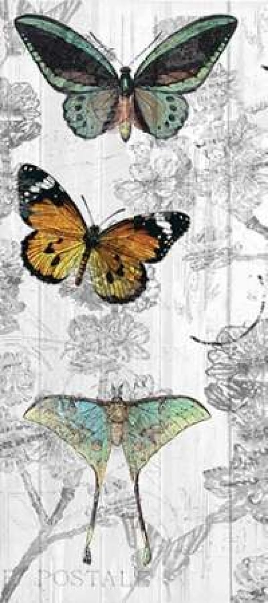 Butterflies Are Free 1 Poster Print by Kimberly Allen-VARPDXKAPL027A Image 1