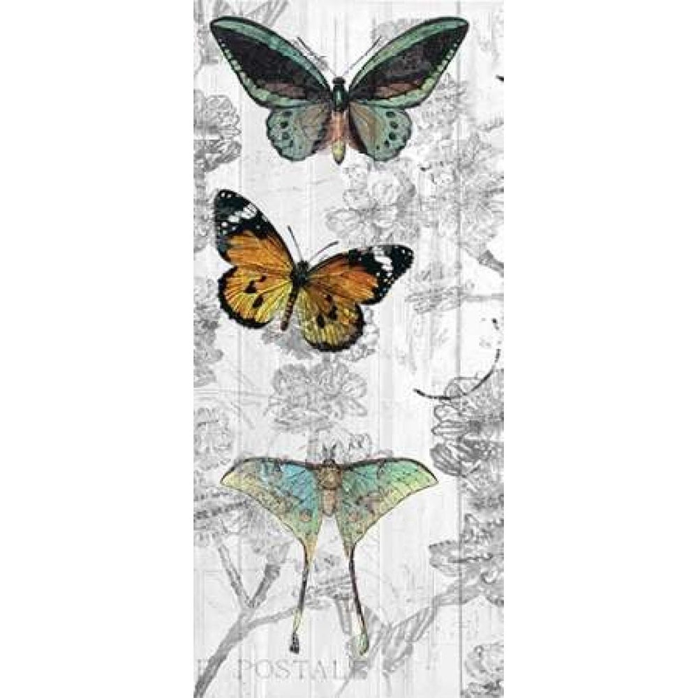 Butterflies Are Free 1 Poster Print by Kimberly Allen-VARPDXKAPL027A Image 2