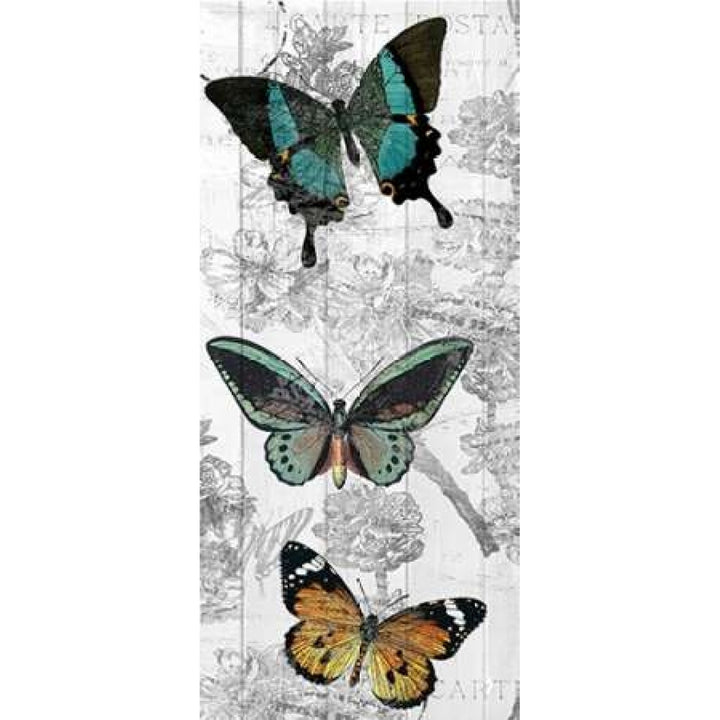 Butterflies Are Free 2 Poster Print by Kimberly Allen-VARPDXKAPL027B Image 2