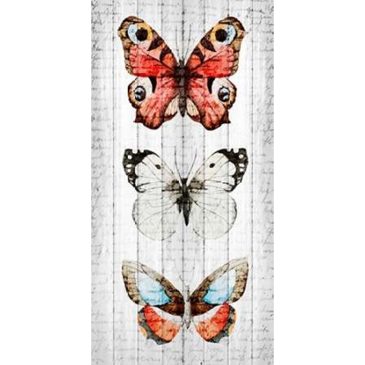 Vintage Butterfly 2 Poster Print by Kimberly Allen-VARPDXKAPL133B Image 1