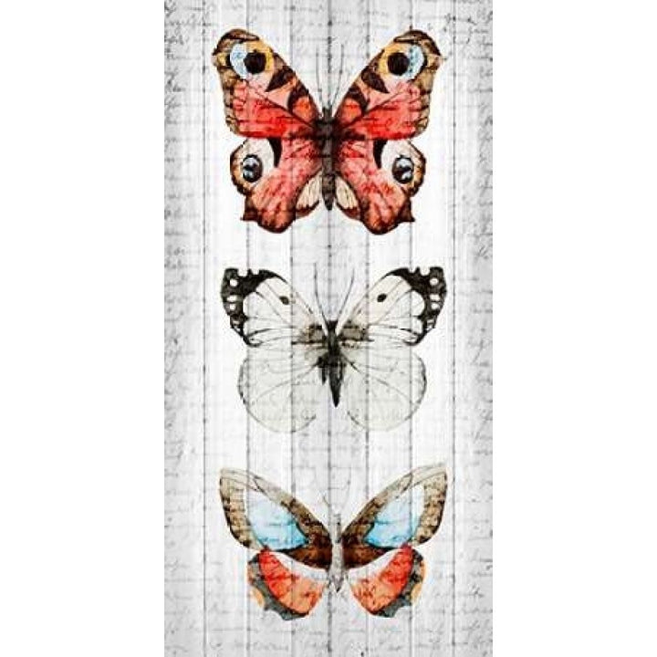 Vintage Butterfly 2 Poster Print by Kimberly Allen-VARPDXKAPL133B Image 2