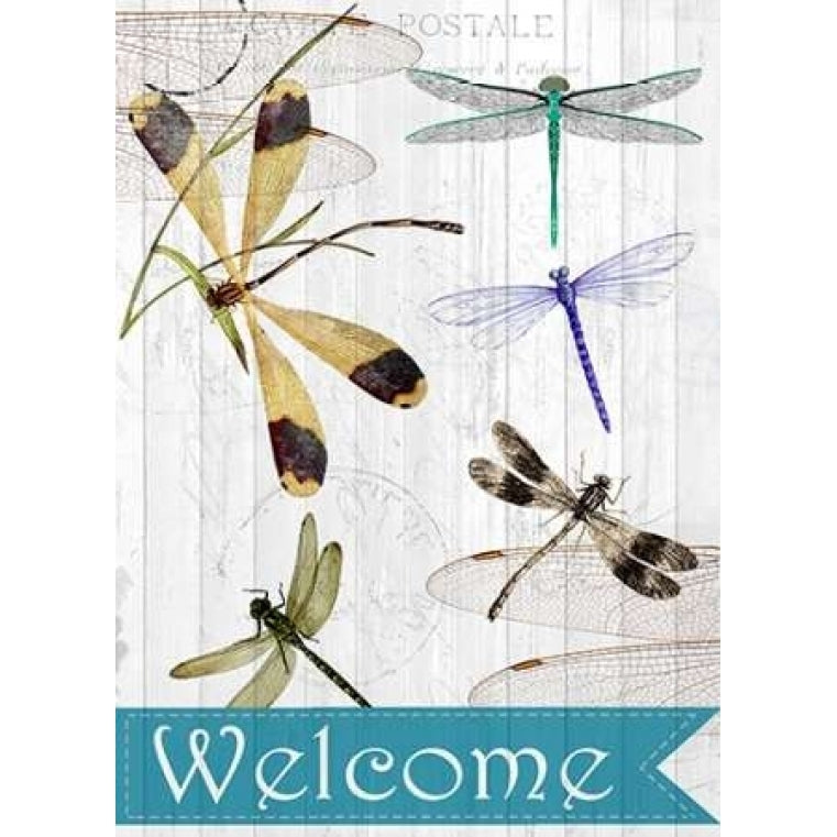 Welcome Dragonflies Poster Print by Kimberly Allen-VARPDXKARC027B Image 2