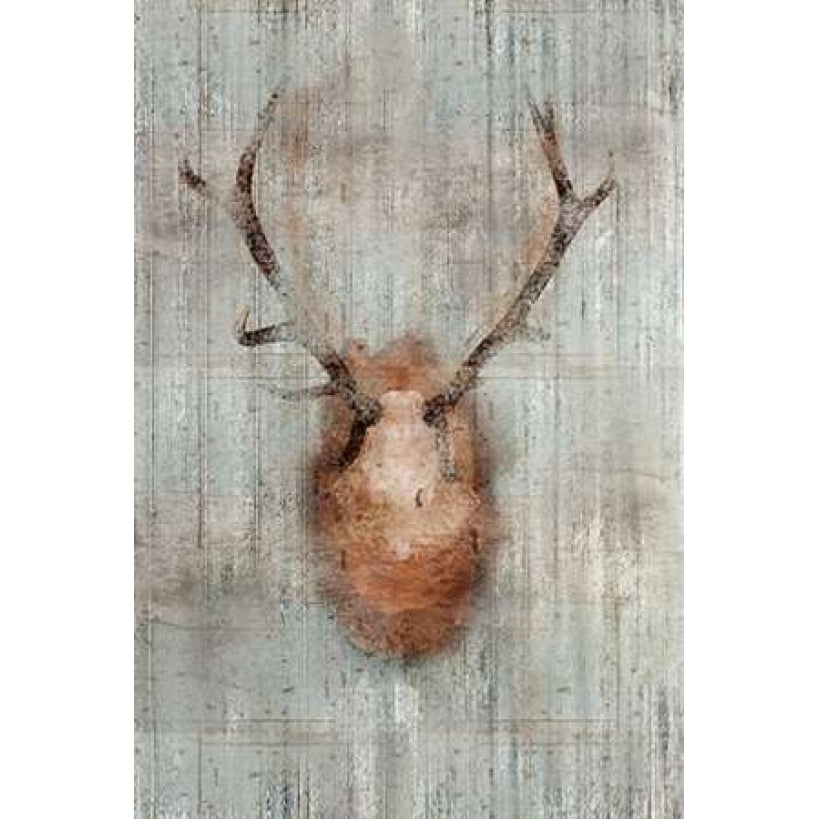 Antlers 2 Poster Print by Kimberly Allen-VARPDXKARC049B Image 2