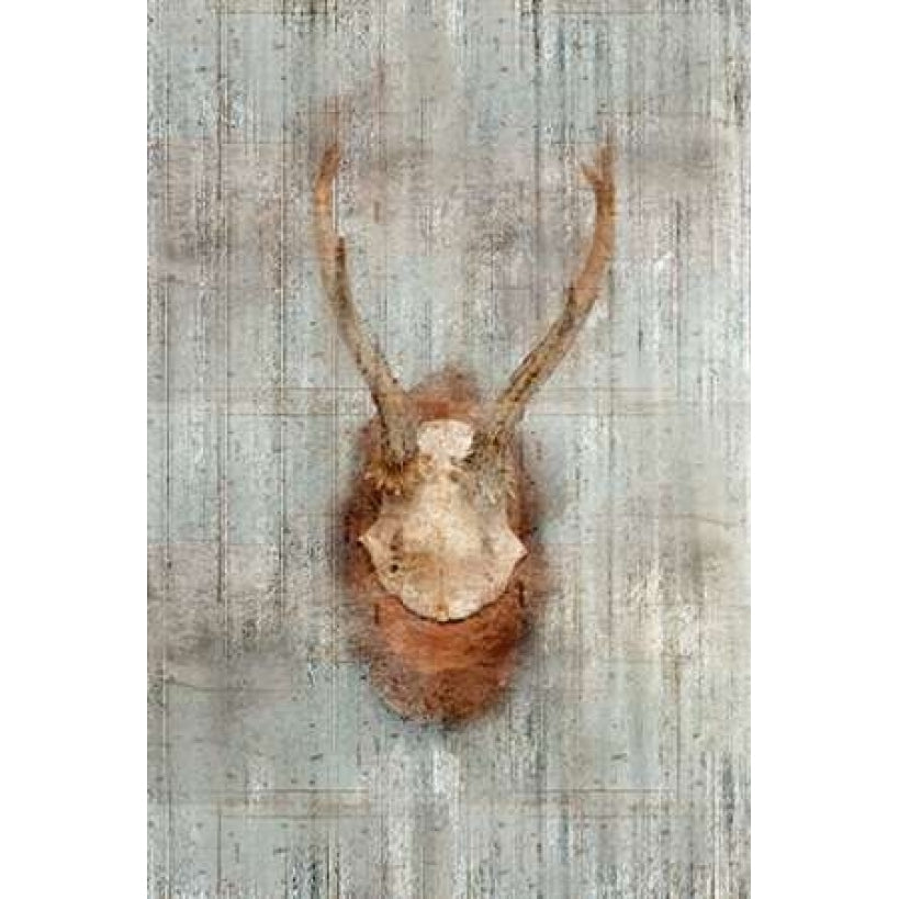 Antlers 1 Poster Print by Kimberly Allen-VARPDXKARC049A Image 2