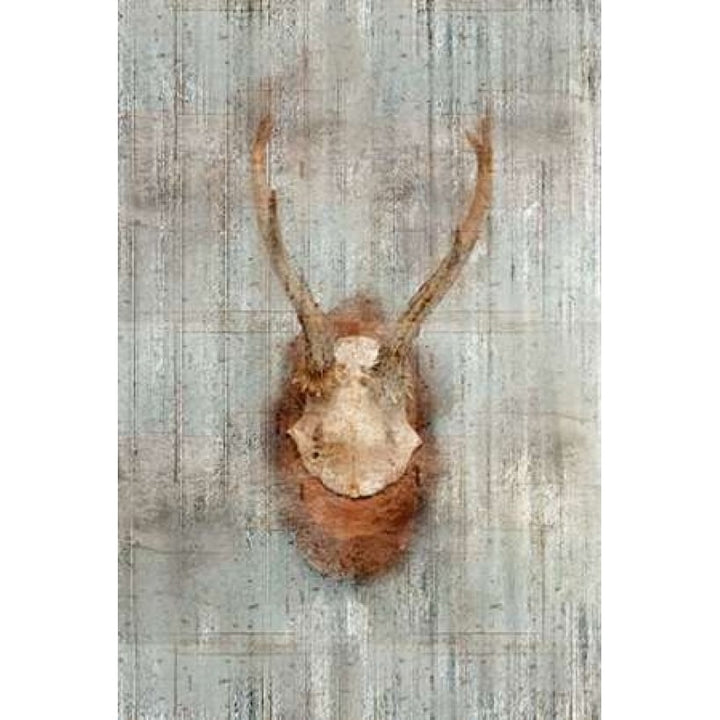 Antlers 1 Poster Print by Kimberly Allen-VARPDXKARC049A Image 1