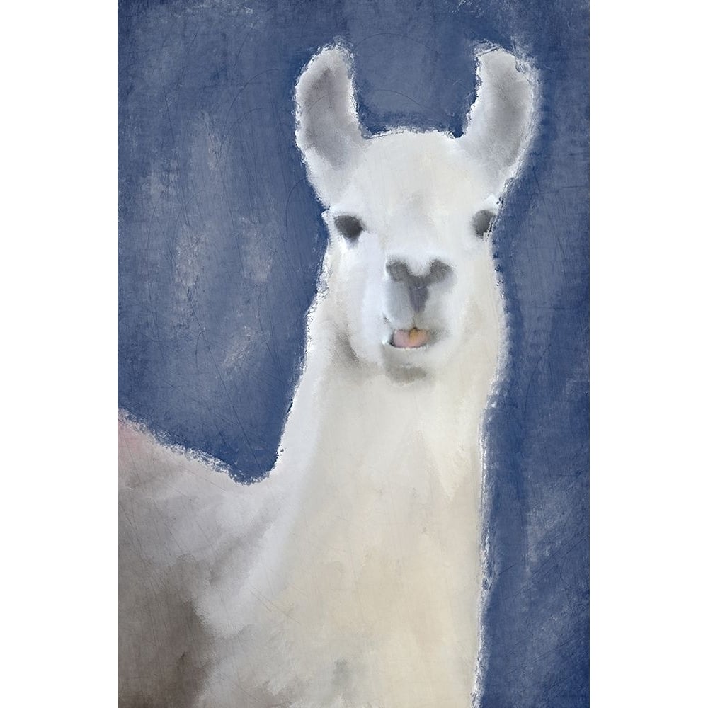 Llama on Navy Poster Print by Allen Kimberly-VARPDXKARC1053A Image 1