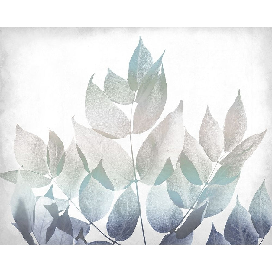 Antiqued Leaves 1 v2 Poster Print by Allen Kimberly-VARPDXKARC1205A Image 1