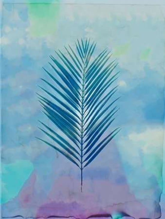 Palm Leaves 4 Poster Print by Kimberly Allen-VARPDXKARC119D Image 1