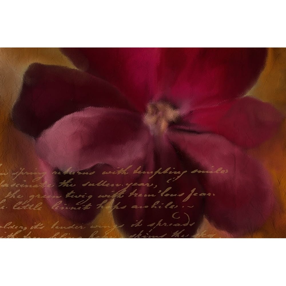 Blooming Spice Poster Print by Allen Kimberly-VARPDXKARC1207A Image 1