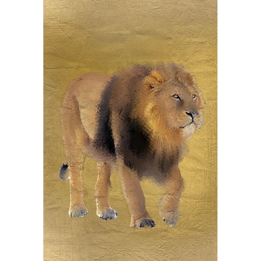 Lion Gold Poster Print by Allen Kimberly-VARPDXKARC1277A Image 1