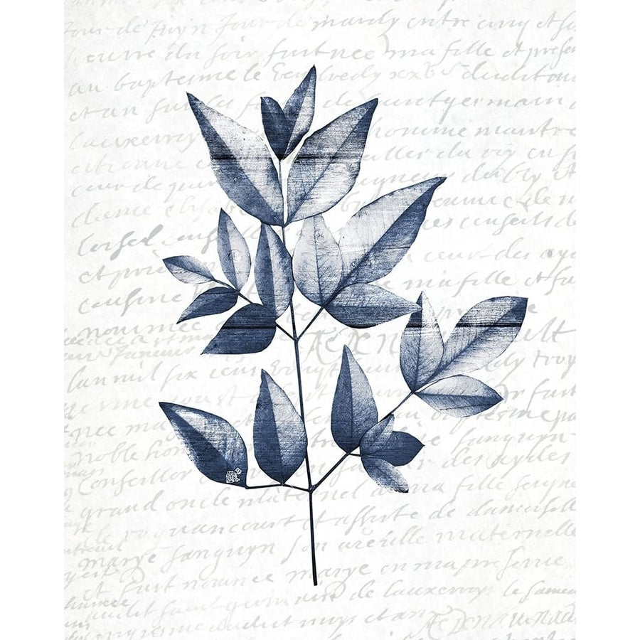 Pressed Leaves 1 Poster Print by Allen Kimberly-VARPDXKARC1297B Image 1