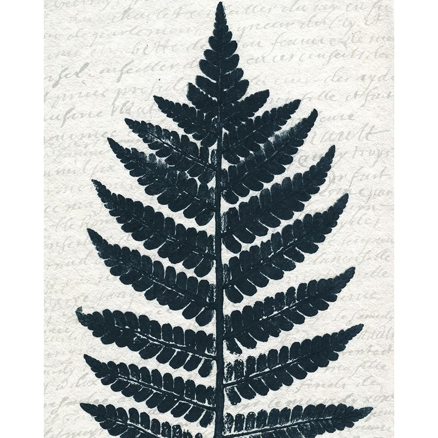 Pressed Leaf 1 Poster Print by Allen Kimberly-VARPDXKARC1319A Image 1