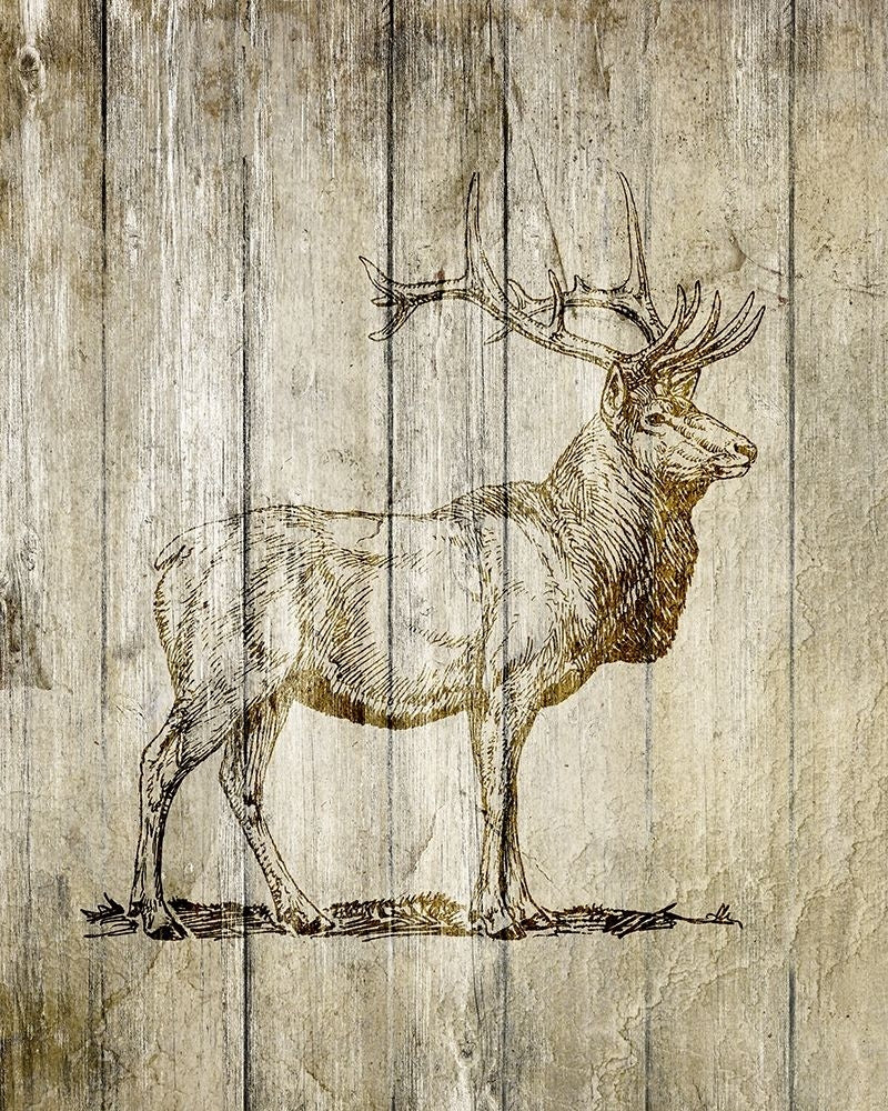 Standing Elk Poster Print by Allen Kimberly-VARPDXKARC1334A Image 1