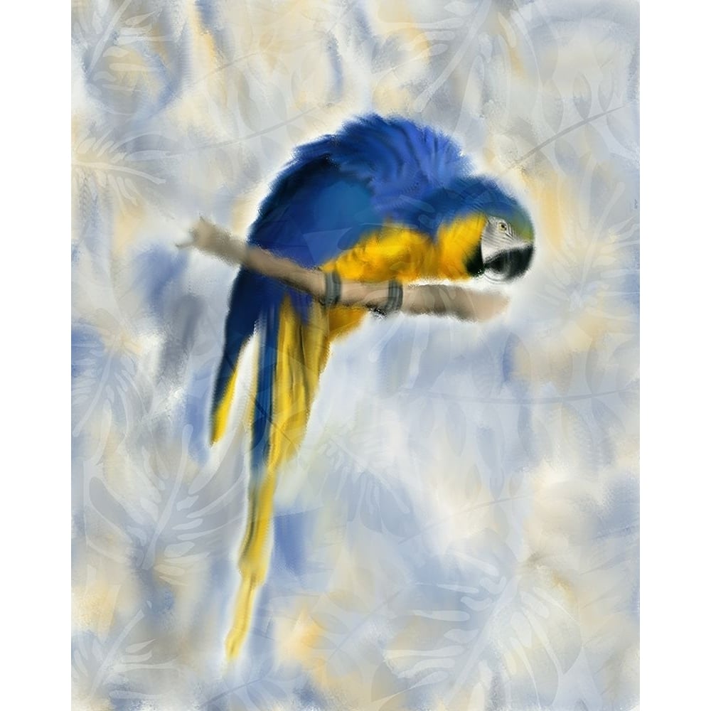 Parrot 1 Poster Print by Allen Kimberly-VARPDXKARC1337A Image 1