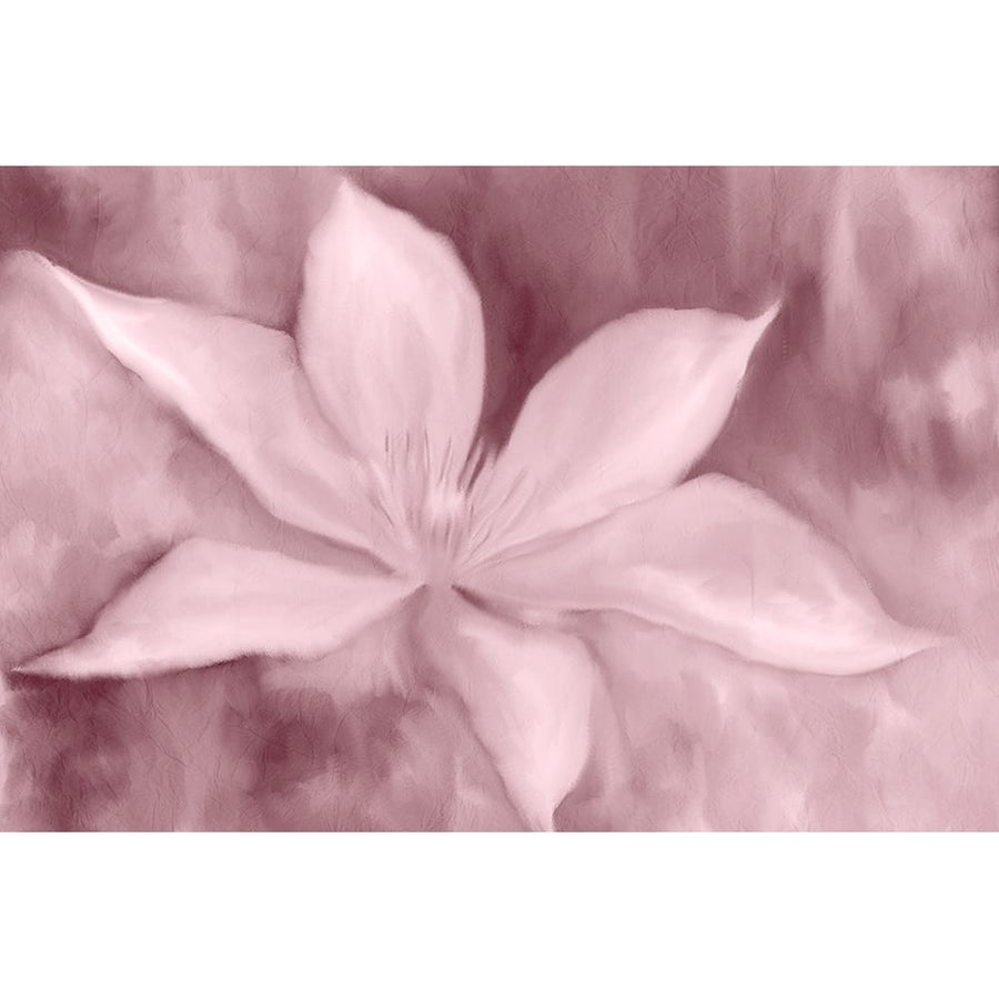 Blush Petals Poster Print by Allen Kimberly-VARPDXKARC1338B Image 1