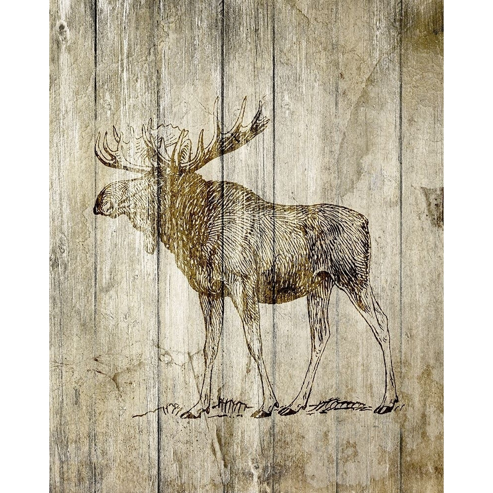 Standing Moose Poster Print by Allen Kimberly-VARPDXKARC1334B Image 1