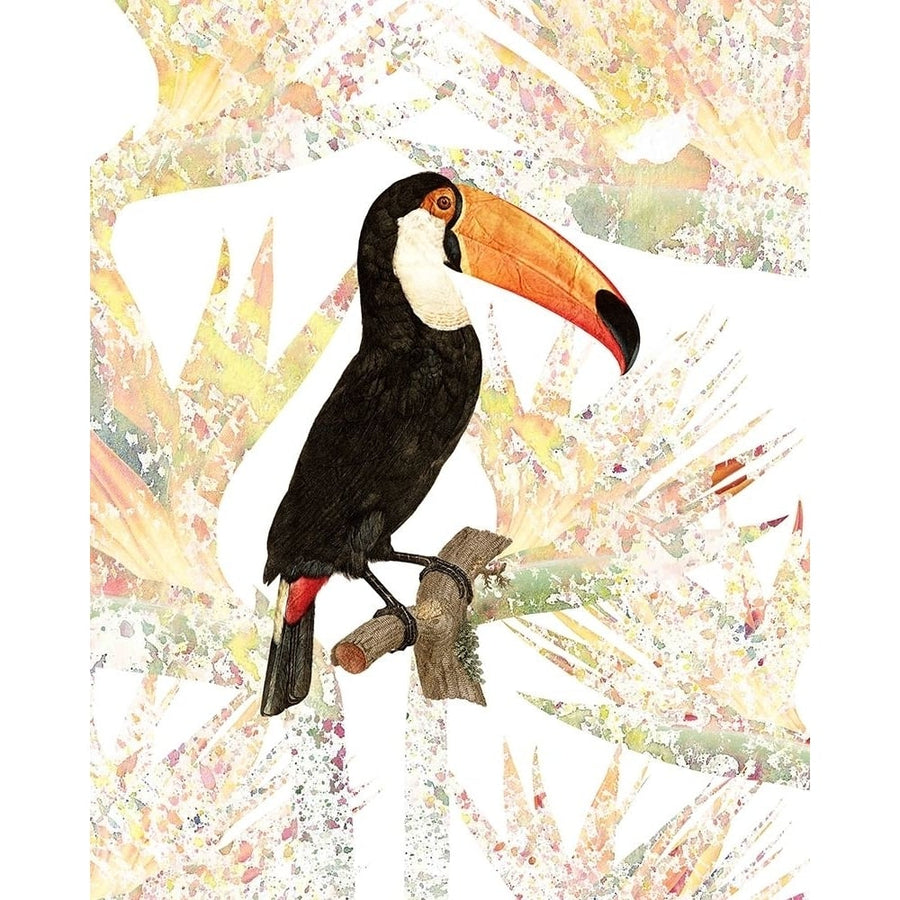 Toucan Poster Print by Allen Kimberly-VARPDXKARC1336A Image 1