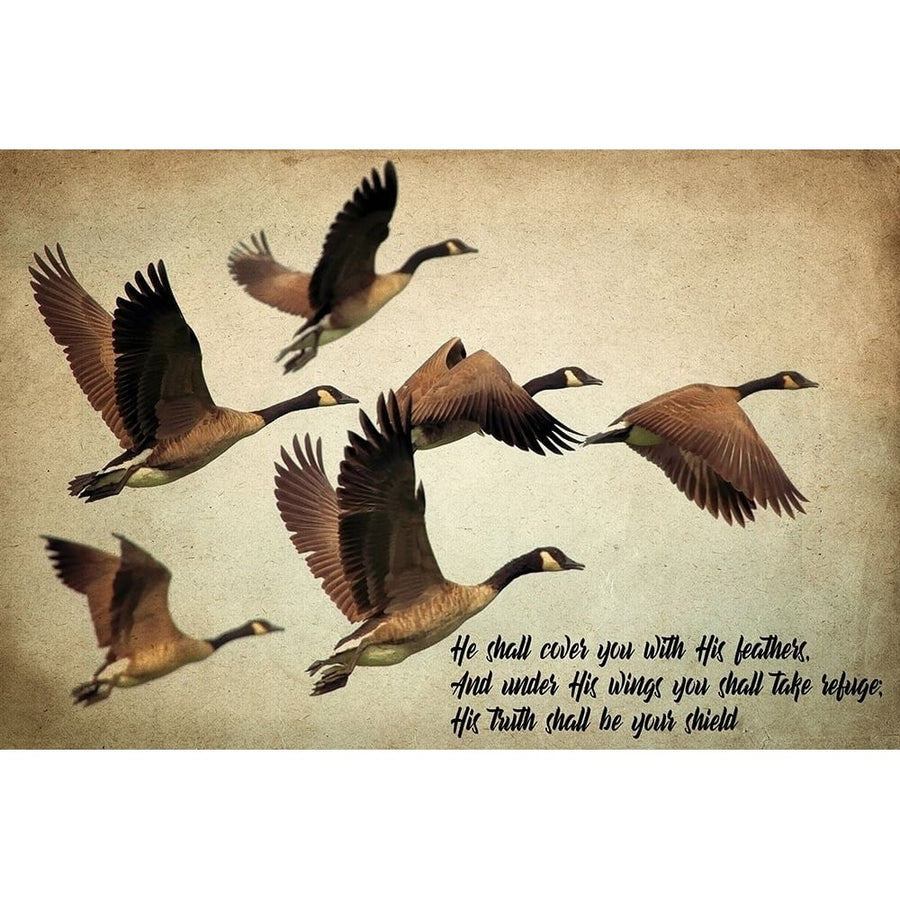 His Wings Poster Print by Allen Kimberly-VARPDXKARC1357A Image 1