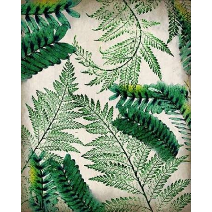 Palms 2 Poster Print by Kimberly Allen-VARPDXKARC138B Image 1