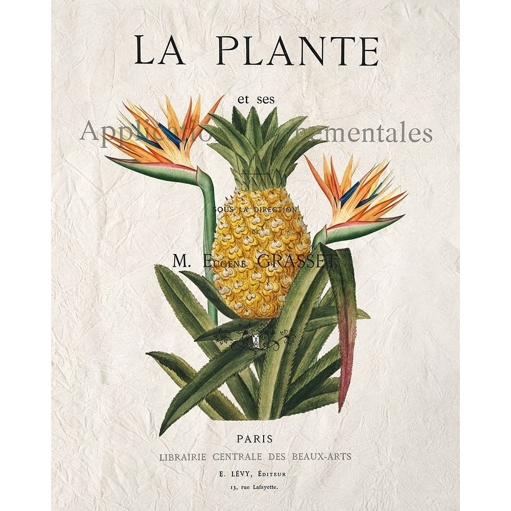 La Plante Poster Print by Allen Kimberly-VARPDXKARC1388A Image 1