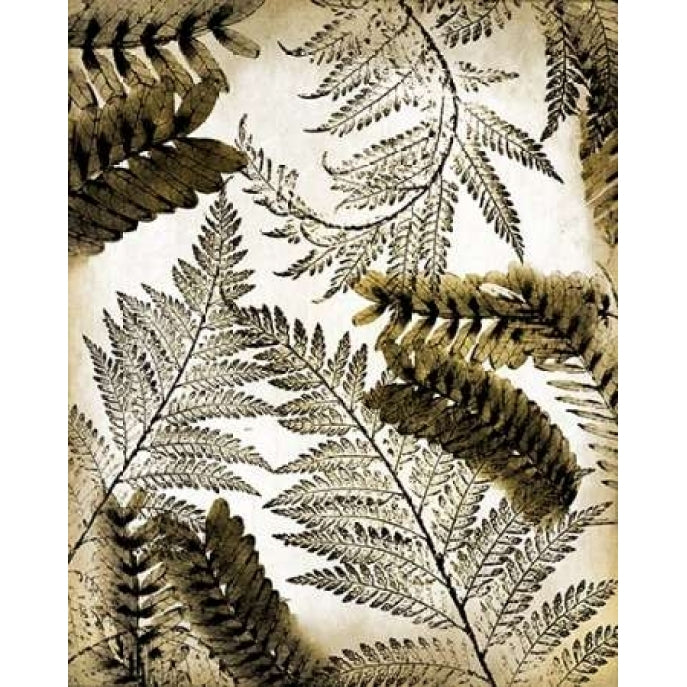 Gold Palm 1 Poster Print by Kimberly Allen-VARPDXKARC138B1 Image 2