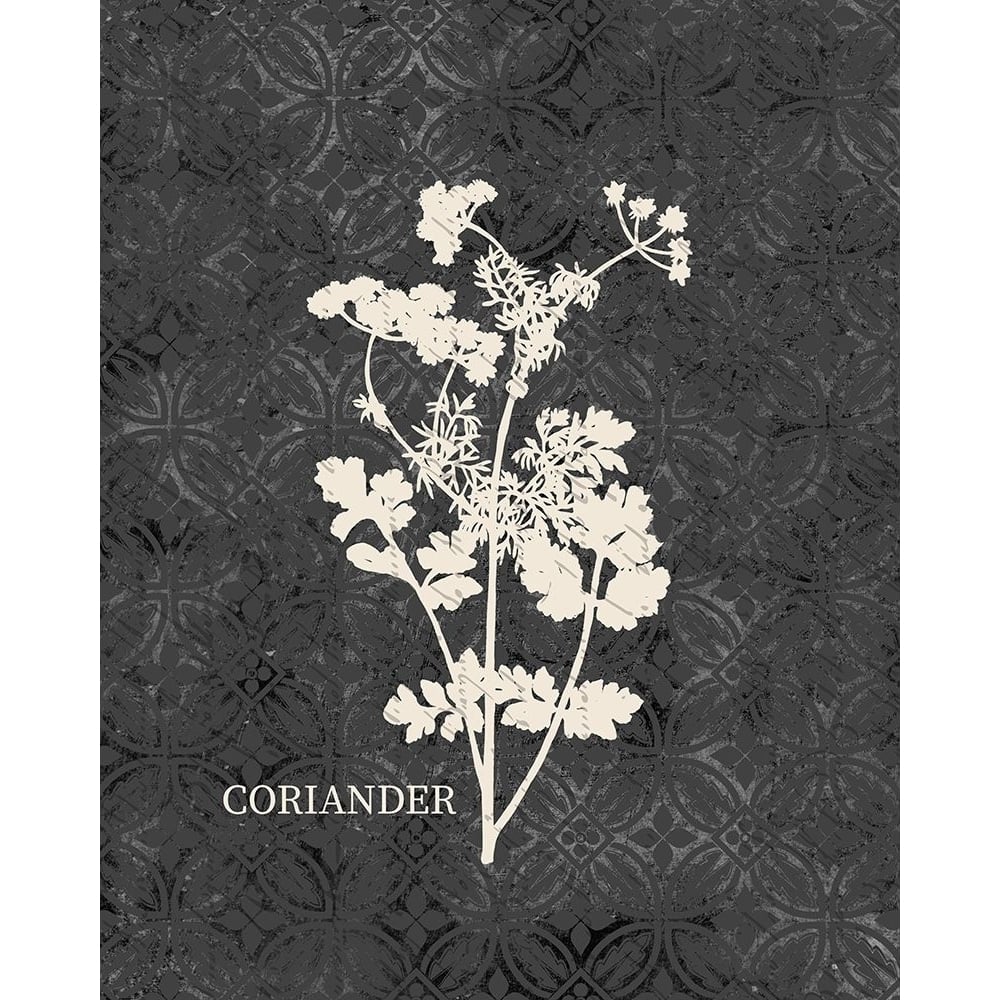 Fresh Coriander Poster Print by Allen Kimberly-VARPDXKARC1445D Image 1