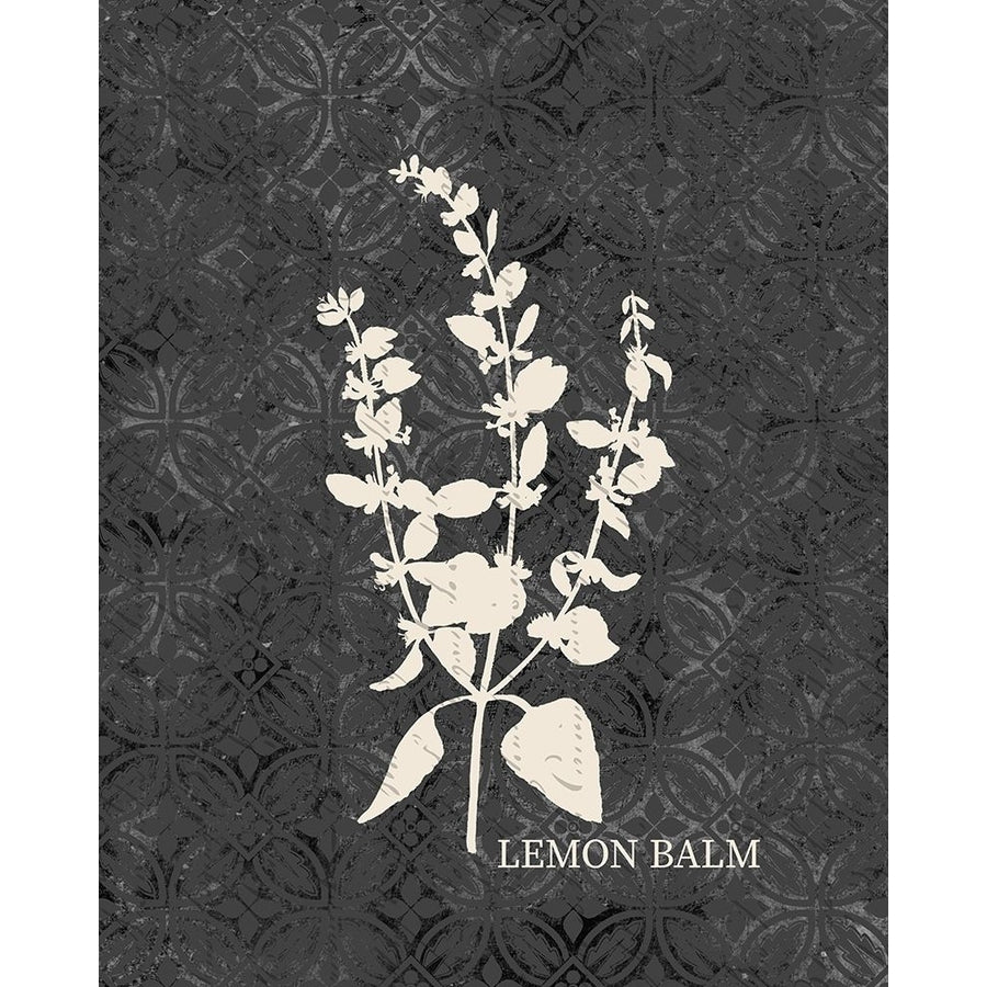 Fresh Lemon Balm Poster Print by Allen Kimberly-VARPDXKARC1445B Image 1