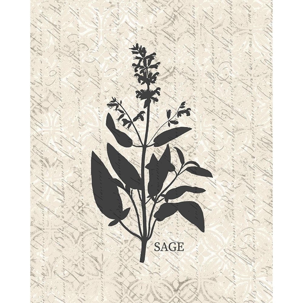 Fresh Sage Poster Print by Allen Kimberly-VARPDXKARC1445A Image 1