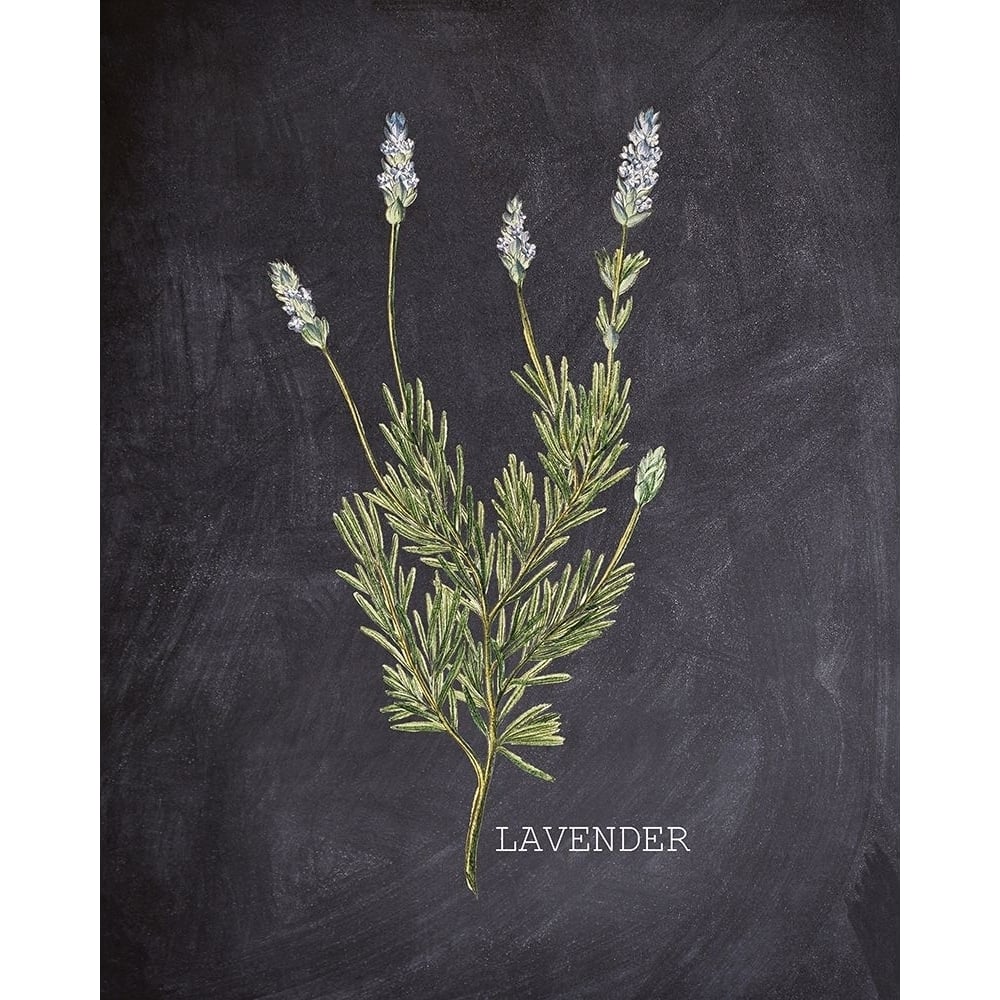 Blackboard Herbs 1 Poster Print by Allen Kimberly-VARPDXKARC1468A Image 1