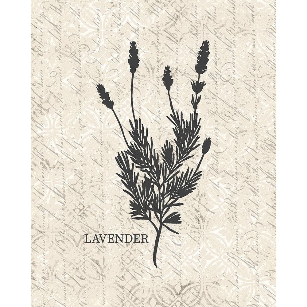 Fresh Lavender Poster Print by Allen Kimberly-VARPDXKARC1445C Image 1